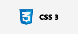 css3